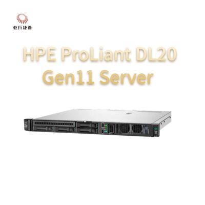 HPE ProLiant DL20 Gen11 Rack Server, flash opslag systeem, xion cpu server
