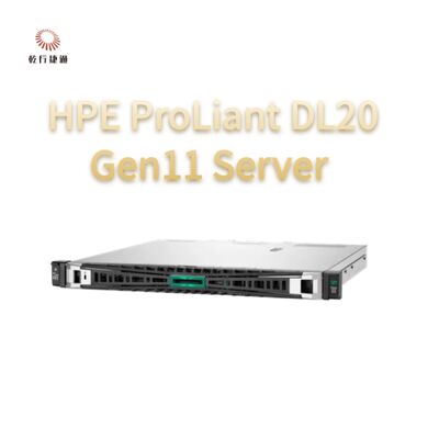 HPE ProLiant DL20 Gen11 Rack Server, flash opslag systeem, xion cpu server