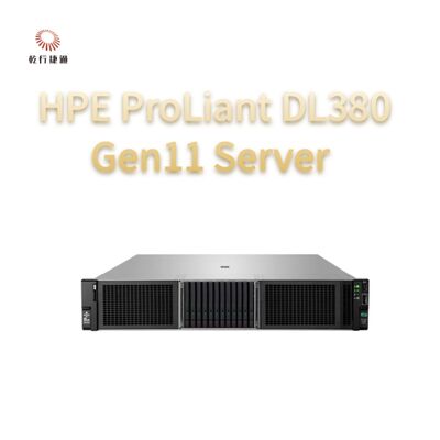 HPE ProLiant DL380 Gen11 rackserver, aangepaste opslagserver, 2-weg server