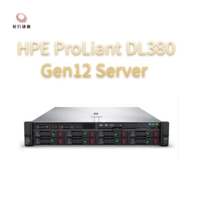 HPE ProLiant Compute DL380 Gen12 Rack Storage Server, aangepaste opslagserver, tweewegserver