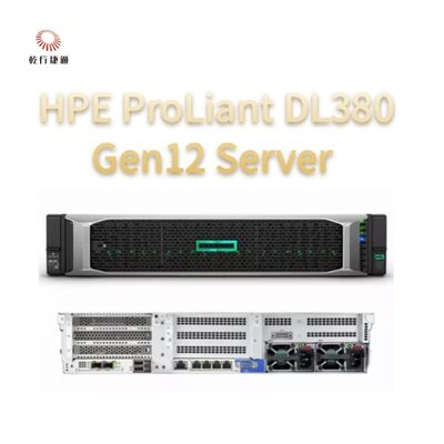 HPE ProLiant Compute DL380 Gen12 Rack Storage Server, aangepaste opslagserver, tweewegserver