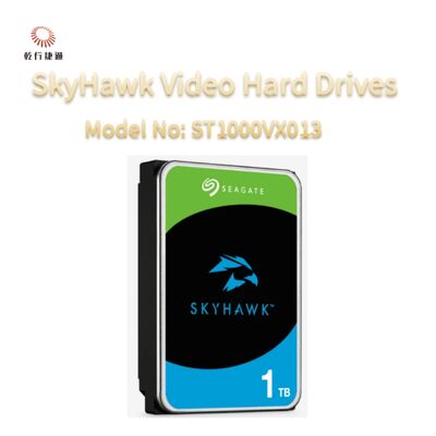 Seagate SkyHawk Videoharddisks Model No: ST1000VX013
