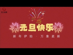 Inleiding van het bedrijf